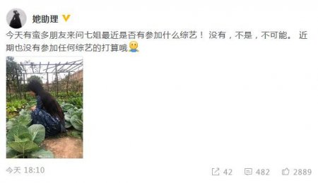 李子柒否认加盟综艺 没有参加任何综艺节目的打算
