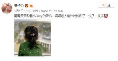 章子怡晒照曝近况 大方透露醒醒即将要成为姐姐