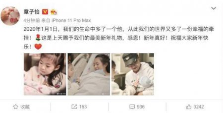 40岁章子怡二胎生子 醒醒与弟弟亲密互动画面有爱