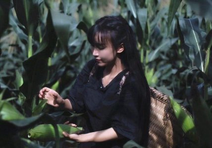 李子柒年入1.6亿 2123家公司净利润不及李子柒