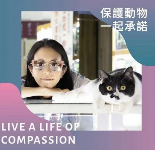 50岁莫文蔚晒素颜照 皮肤暗黄被吐槽像中年大妈