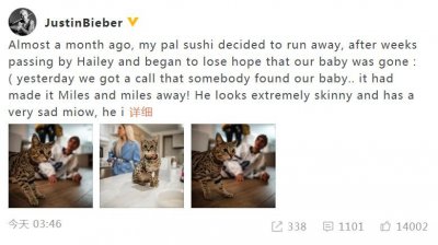 比伯寻回天价猫 透露猫咪瘦了很多自己很心疼
