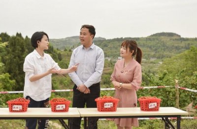 镇长和网红卖樱桃 助农脱贫增收围观人数达42.1万