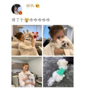 王思聪新欢素颜照曝光 抱爱狗出镜皮肤吹弹可破
