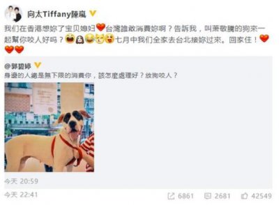 向太安慰郭碧婷 直言宝贝媳妇台湾谁敢消费你