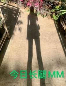 周洁琼晒影子照自侃 秀出好身材十分可爱逗趣