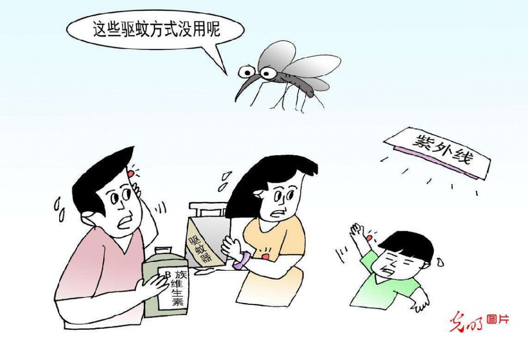 驱蚊妙招驱蚊的有效方法