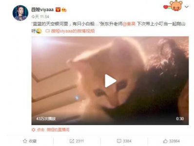 薇娅拒绝秦昊拍合照 网友：张东升把魔抓伸向薇娅了