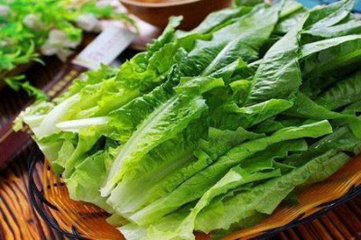 油麦菜的功效与作用 五个女人吃油麦菜的好处