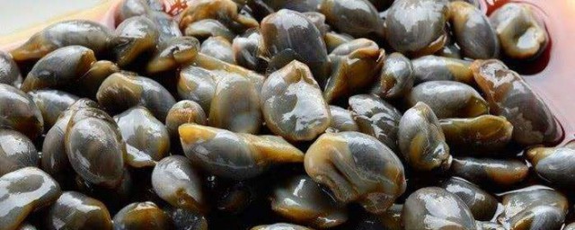 泥螺怎么吐干净泥沙 泥螺吐沙的方法