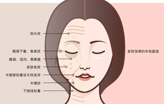 美容面部提升手法步骤美容面部提升几种方法