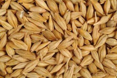 减肥主食吃什么比较好？三个主食女人减肥最快的方法