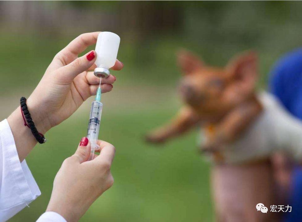 什么时候打狂犬疫苗狂犬疫苗错过最佳时间还能打吗