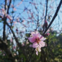 《饮湖上初晴后雨》解读 淡妆浓抹总相宜的相宜是什么意思