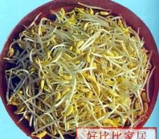 冬季养生常识 谨防口角发炎