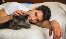 猫猫能独自在家中好好待着吗？