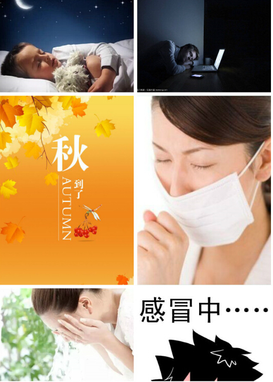 秋季健康生活小常识 日常饮食及保暖穿着等
