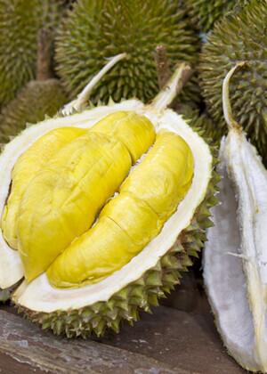 榴莲薄饼怎么做？榴莲薄饼的做法