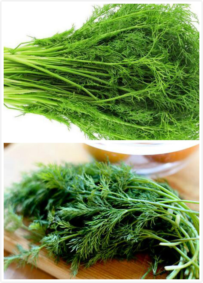 藏红花一次泡几根最好？什么时候喝藏红花最好？