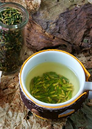 莲子心茶怎么做 莲子心茶的做法