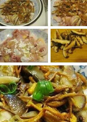 虫草花香菇蒸鸡肉 冬季温补开胃首选