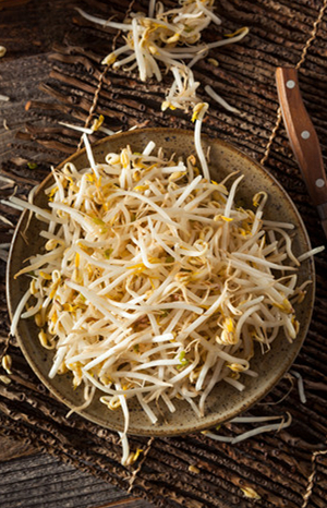 绿豆芽的特色菜谱 教你烹出精彩菜品