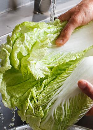 秋季蔬菜营养价值与功效作用