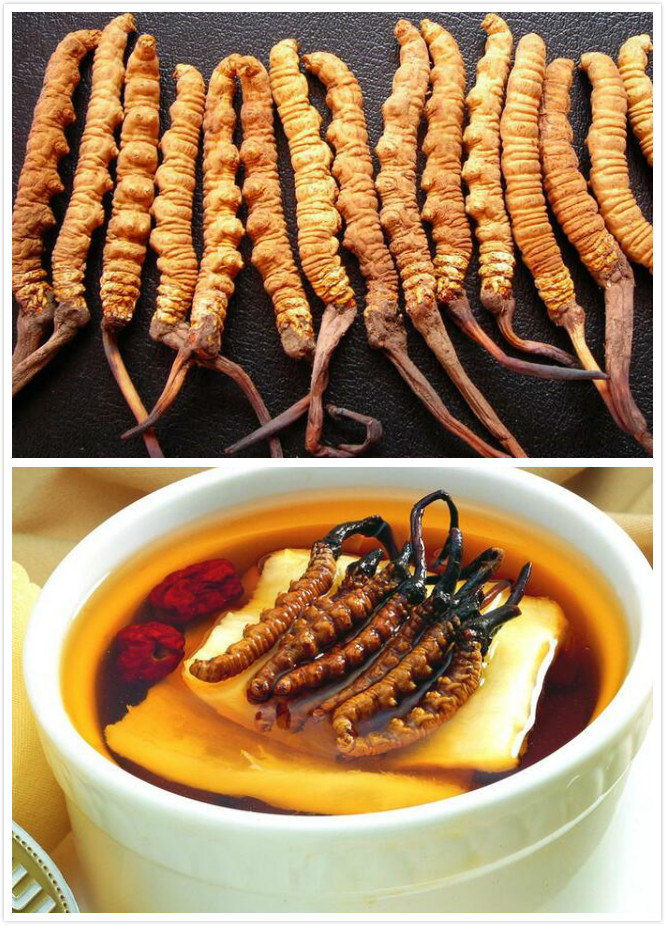 冬虫夏草真假鉴别技巧 假的冬虫夏草是什么样