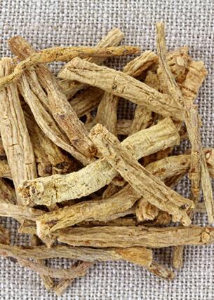 党参的最佳吃法：清炖鸽子汤