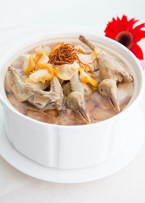 四宝煲老鸽汤 冬季健脾胃兼祛湿