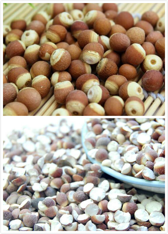 芡实米的功效与作用 芡实米的功效与作用禁忌症