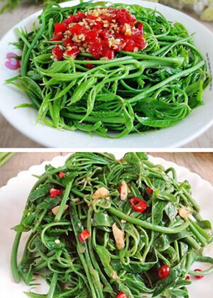 云南家常菜 云南特色菜——剁椒拌火镰菜
