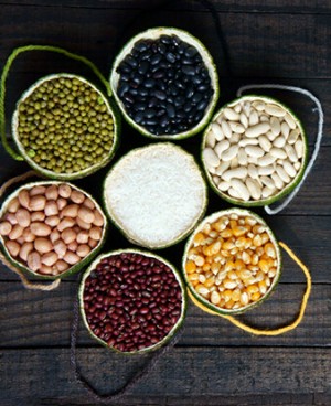 小儿在冬季更适合吃什么？为您介绍五类适合儿童的健康食品