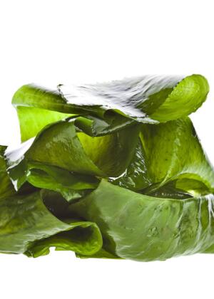 适合怀孕六个月的营养食谱做法