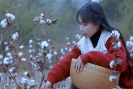 微念回应与李子柒争议 顶流网红与资本开撕股权分配矛盾爆发
