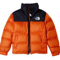 北面1996有几个版本 ​北面1996充绒量多少克