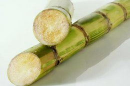甘蔗上火还是降火？甘蔗的功效与作用