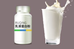 乳清蛋白粉能减肥吗 乳清蛋白可以减肥吗