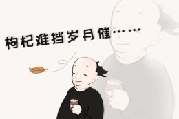 头发很少怎么办 头发很少很少怎么办
