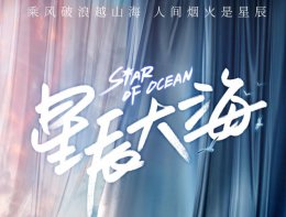 星辰大海简爱人物简介 星辰大海结局简爱跟谁在一起了