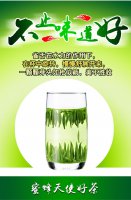 怎么用绿茶做面膜 如何自制茶叶面膜 茶叶的神奇功效