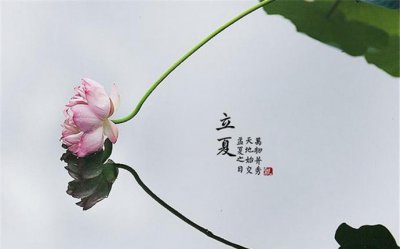 立夏吃什么 立夏饮食健康需注意这几点