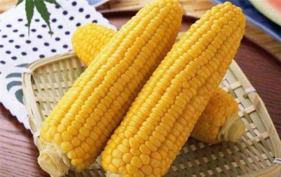 玉米减肥法怎么吃 这样吃快速甩肉拥有好身材