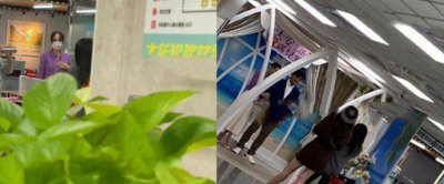 陈乔恩与男友艾伦登记结婚 两年恋爱修成正果