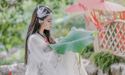 嘉了个玲山海经在哪看完整版的 嘉了个玲真的太牛了