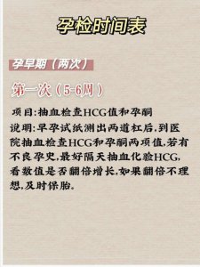 超全的孕期检查时间表孕期分享！