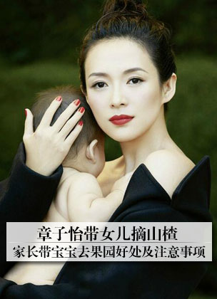 章子怡带女儿摘山楂引关注 家长带宝宝去果园要注意啥