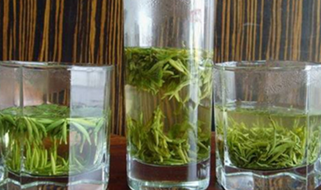 铁观音怎么泡 掌握技巧轻松泡出美味茶饮