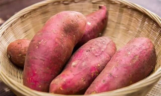 红薯怎么吃能够减肥 以此替代主食效果更好