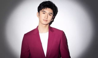 张云龙许魏洲齐聚元宵晚会，都选择西装的造型，网友：葫芦娃？